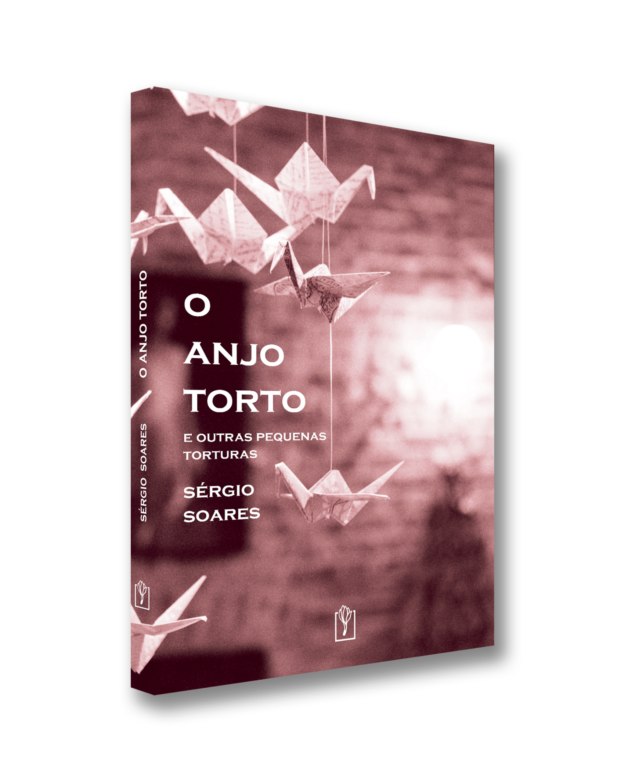 O anjo torto - e outras pequenas torturas, Sérgio Soares